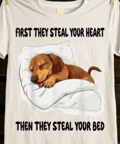 Dachshund First They Steal Your Heart Then Your Bed Shirt Cute Gifts For Wiener Dog Lovers - Homegiftaura