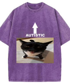 Autistic Cat Washed T Shirt Everyday Comfort Graphic Shirt Gifts For Him Gypsysystersgift - Homegiftaura