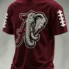 Crimson Sports Merch Game Day T-Shirt Football Presents For Men